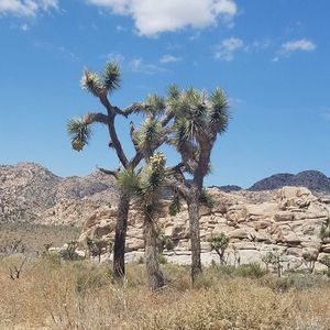 Meet your Posher, Laurie